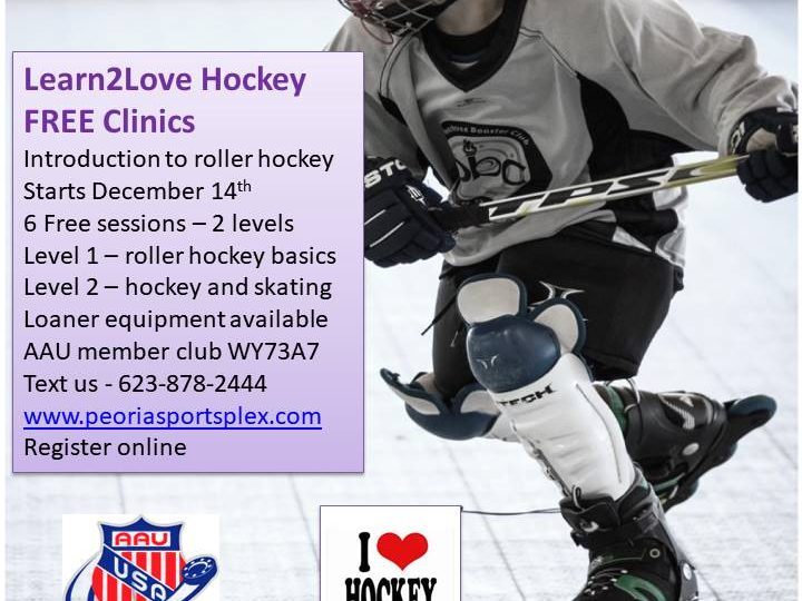 Learn2Love Hockey – Youth Clinic